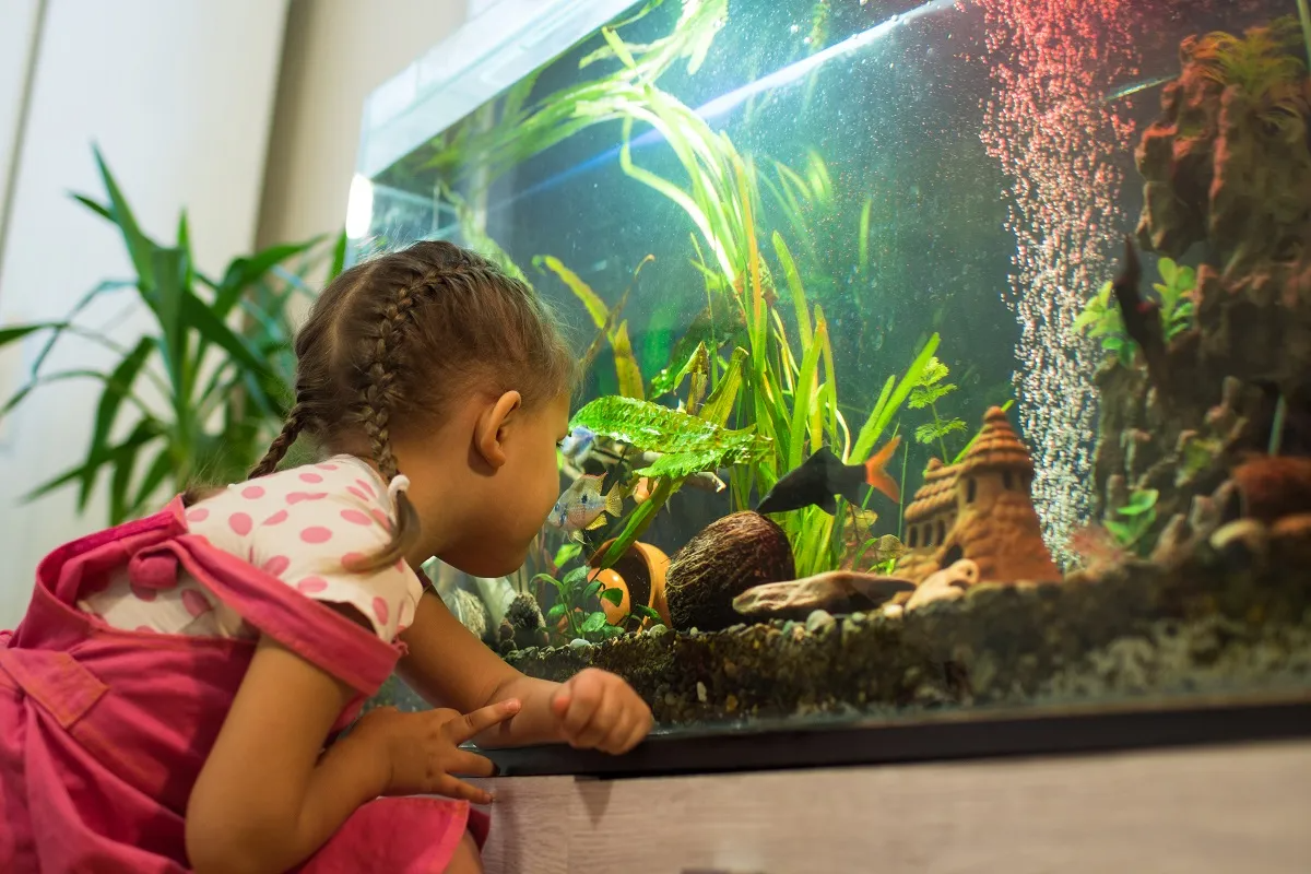 Aquariam